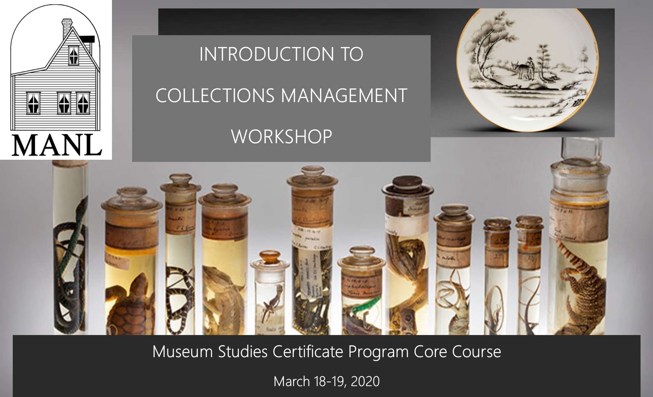 collections workshop